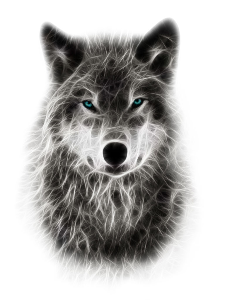 wolf_white